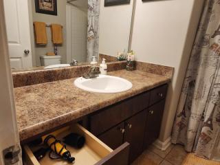 Two the Movies - Spacious Rooms - Sleeps 7 Instant Booking! - Charlotte - 5