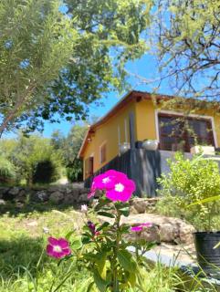 La Calandria - 8