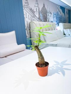 Lovely Penthouse near Airport, City of Dreams 8pax - Manille - 4