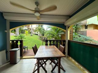 Studio palmiers royaux - 2