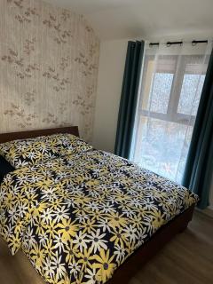 Cabana La Păstrăvul - - 7
