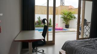 Villa Carlos, Canggu, private pool, washing machine - Canggu - 2