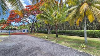 Tropical Choisy - Mont Choisy - 1
