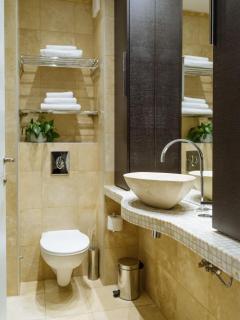 Double studio near Cismigiu Park - Bucharest - 5