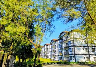 Greenhill Resort Cameron Highland - Tanah Rata - 8