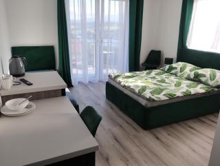 Czorsztyn Noclegi - Czorsztyn - 8