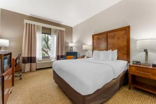 Comfort Inn Brownsville I-40 - Brownsville - 2