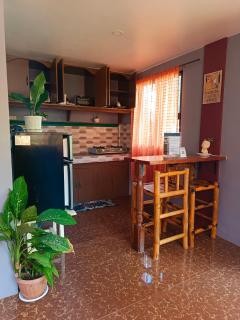 Peace Lily Studio Apartments Panglao - Panglao - 8