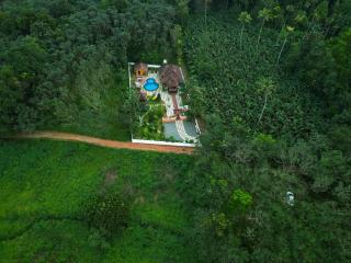 Bethel Heritage - Entire Premium Pool Villa - Kodanad - 9