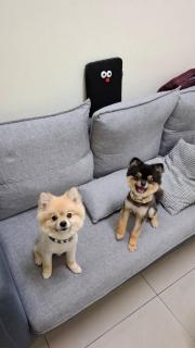Hi Tray屋裡有個脆背包客棧 - Città Vecchia di Hengchun - 1