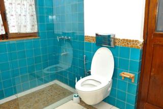 Ritz Park Mayfield Banglow - Kotagiri - 9
