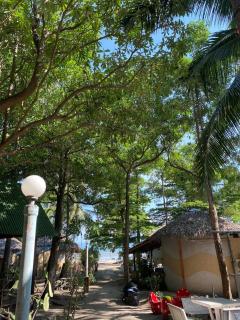 Sunset Serenity D1 - Ko Phangan - 6