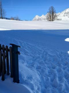 Alpenblick - 3
