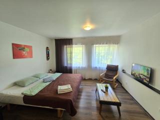 Z14 River studio apartment - Klaipėda - 6