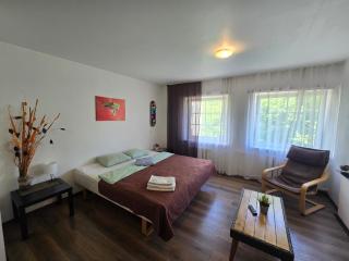 Z14 River studio apartment - Klaipėda - 5