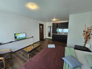 Z14 River studio apartment - Klaipėda - 4