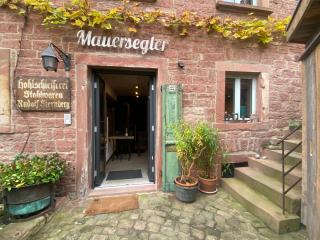 Mauersegler - Miltenberg - 0