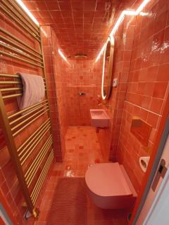 Calme absolu et terrasse à Bastille - 4