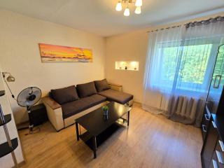 Z15 River Apartment - 9
