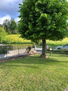 Villetta immersa nel verde - 7