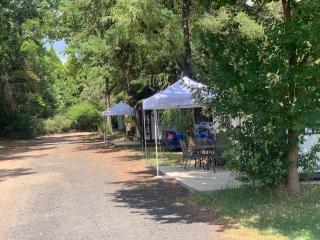 Blue Sapphire Motor Inn - Glen Innes - 5