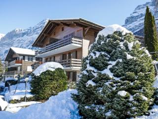 Apartment Réan by Interhome - Grindelwald - 0
