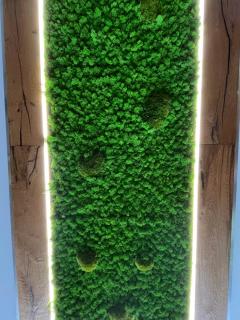 Chalmettes Lune Étoilée - 0