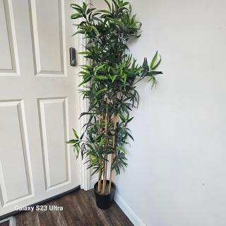 City Centre Studio - Easy Transport Links - 8