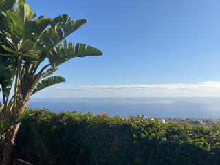 Finca Los Tomillos - Candelaria - 3