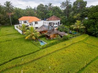 Mardika Private Villa Ubud - Ubud - 2