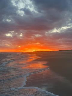 Serenamente un lugar para descansar - 1