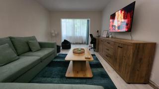 Retreat Apartment - Tîrgu Ocna - 5