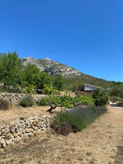 Cabanon insolite au coeur de la Provence - 7