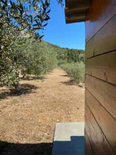 Cabanon insolite au coeur de la Provence - 6