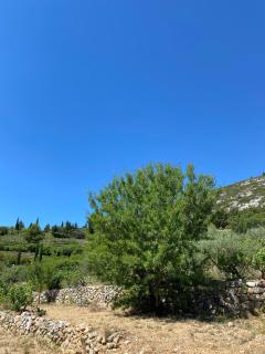 Cabanon insolite au coeur de la Provence - 4