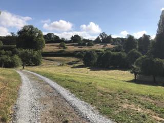 La Daubinière - - 7