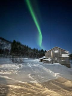 Hus i Olderfjord - Lyngværet - 8