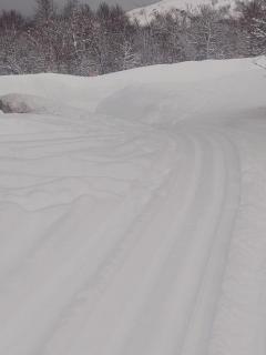 Tusenvik - - 5