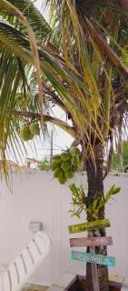 Paradise nook house - 2