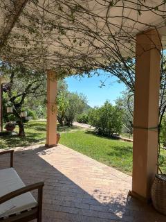 Azienda Agricola Passaro - Trentinara - 1