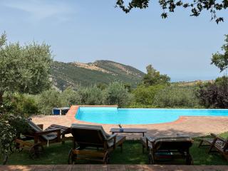 Azienda Agricola Passaro - Trentinara - 5