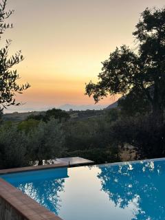 Azienda Agricola Passaro - Trentinara - 3