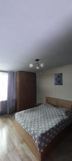 Cottage in Bakuriani - 5