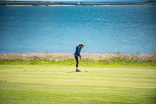 Dunmore East Holiday and Golf Resort Apartments - 4