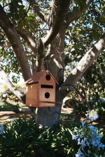 Langmeil Cottages - Tanunda - 7