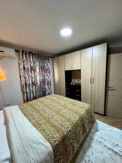Apartamenti Vasil Shanto - Tirana - 8