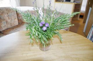 Bungalow charmant à Pierrefitte-sur-Loire + jardin et BBQ - Pierrefitte-sur-Loire - 4