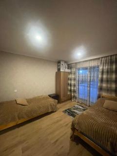 Marni's Cottage - Bakuriani - 3