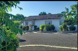 Villa Jasmin, NOSY BE - Ambaro - 5