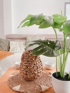 2 Chambres avec Balcon en Centre-Ville et Plage au Calme - 7